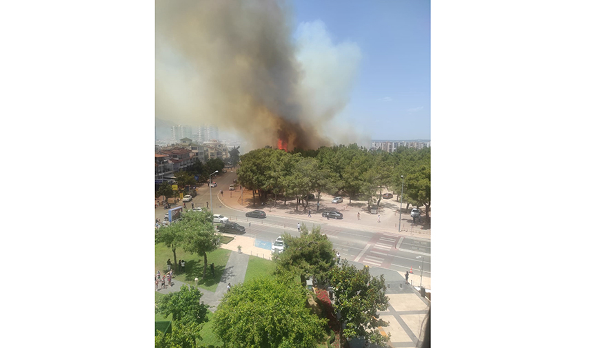 Antalyada Iki Ayrı Noktada Yangın (15)
