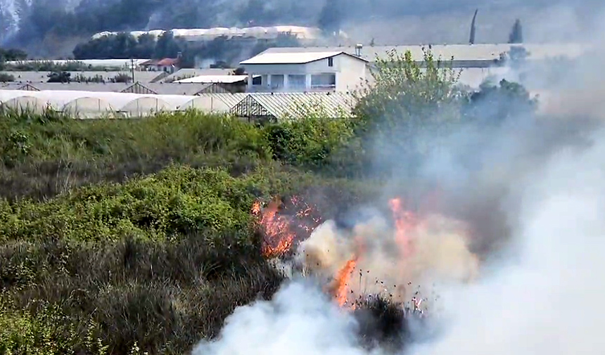 Antalya'da Orman Yangını (3)