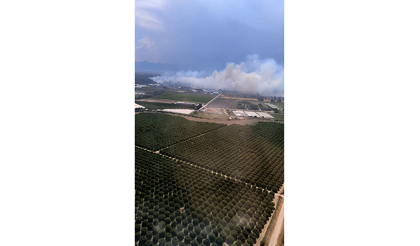 Antalya'da Orman Yangını (6)