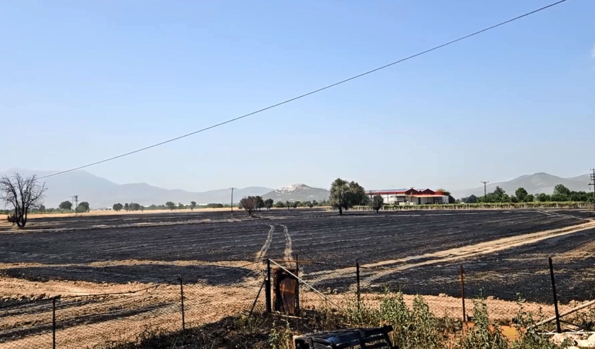 Burdur'da İki Noktadaki Yangında 1000 Dönüm Arazi Yandı (3)