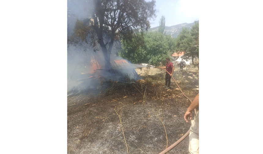 Orman Yangını Büyümeden Söndürüldü (3)