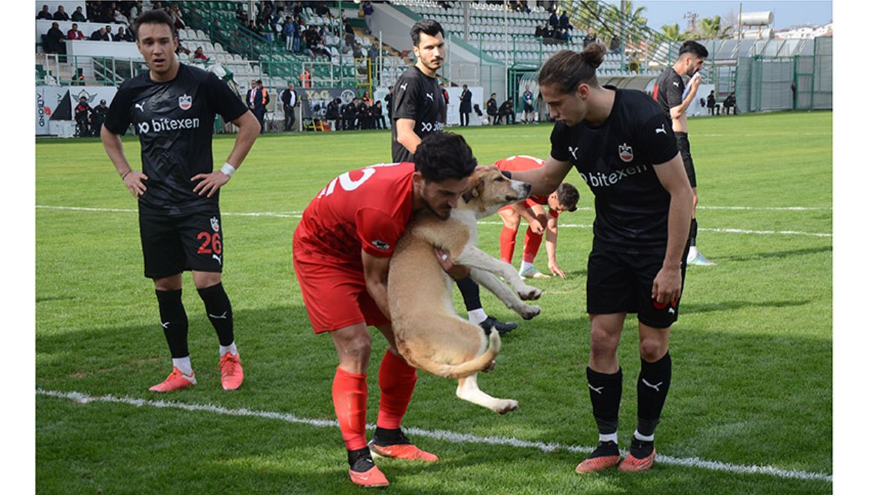 Sahaya Giren Köpeği Futbolcular Çıkardı