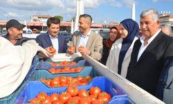 Çelik, “Çiftçilerimize Sahip Çıkıyoruz Çiftçilerimize Kazandırıyoruz”