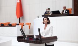 Coşar: “Orman Yangınları Geleceği Yok Ediyor”
