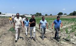 Söker: “Durmadan, Yorulmadan Çalışmaya Devam”