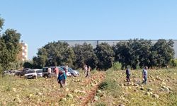 Tarladaki 120 Ton Karpuzunu Hayrına Dağıttı