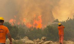 Antalya’da 540 Hektar Alan Zarar Gör