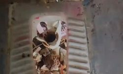 Serik’te halka umumi yerde lavaboları kırıp, ateşe verdiler…