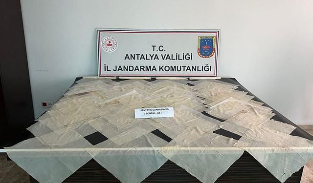 2 Milyon Liralık Bonzai Baskını