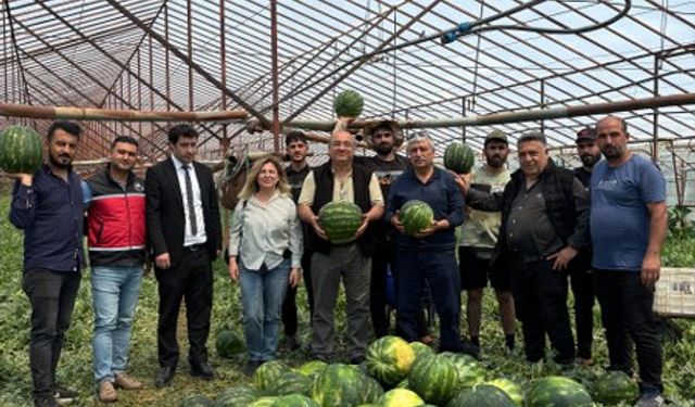 Karpuzda 37 Bin Ton Hasat Bekleniyor