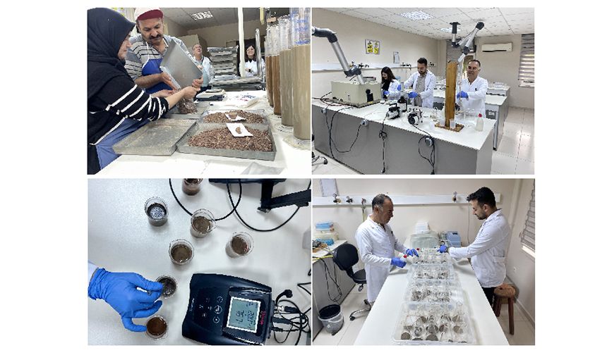 Antalya'daki Laboratuvarda Yapılan Toprak Analiziyle Ormanlar İçin Uygun Ağaçlar Belirleniyor