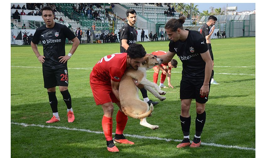 Sahaya Giren Köpeği Futbolcular Çıkardı