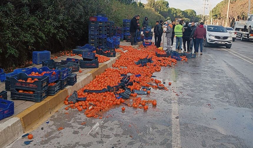 Serik'teki Kazada Domatesler Yola Saçıldı