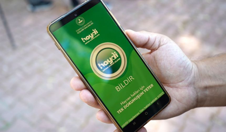 Aracıyla Hayvana Çarpıp Kaçmanın Cezası 10 Bin 385 TL.