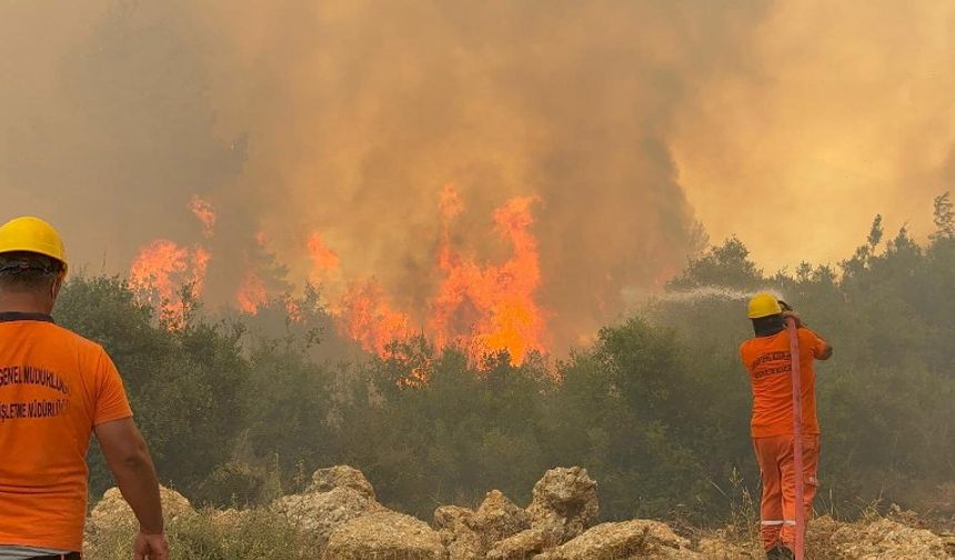 Antalya’da 540 Hektar Alan Zarar Gör